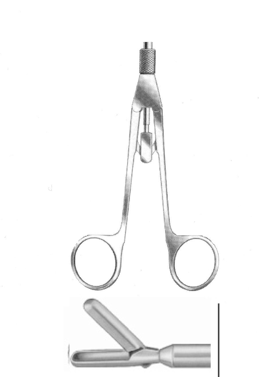 LARGE BİYOPSİ FORSEPS ÇAP  10 MM